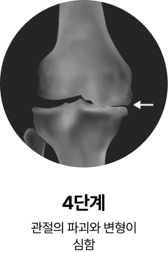 활기찬신경외과