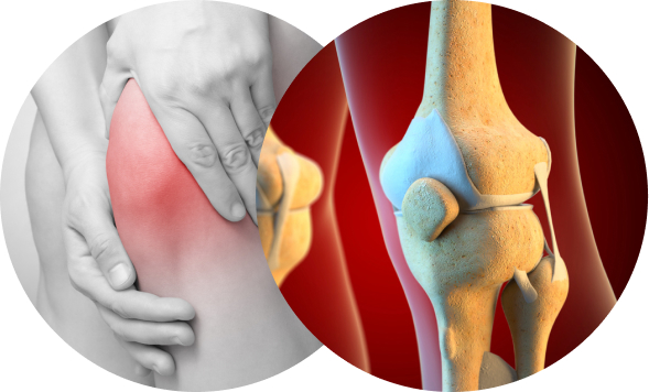 활기찬신경외과
