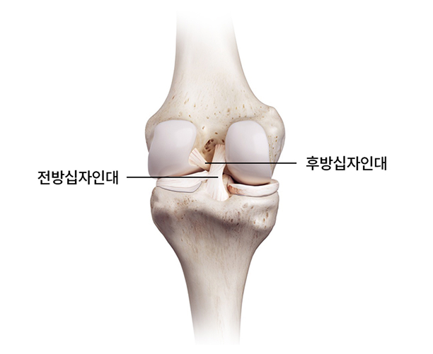 활기찬신경외과