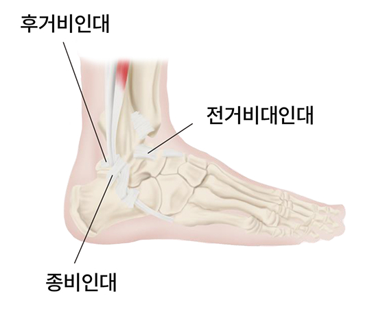 활기찬신경외과