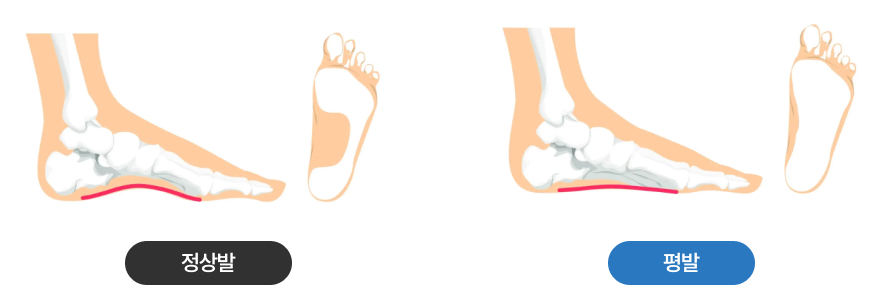 활기찬신경외과