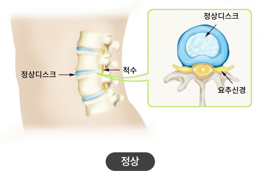 활기찬신경외과