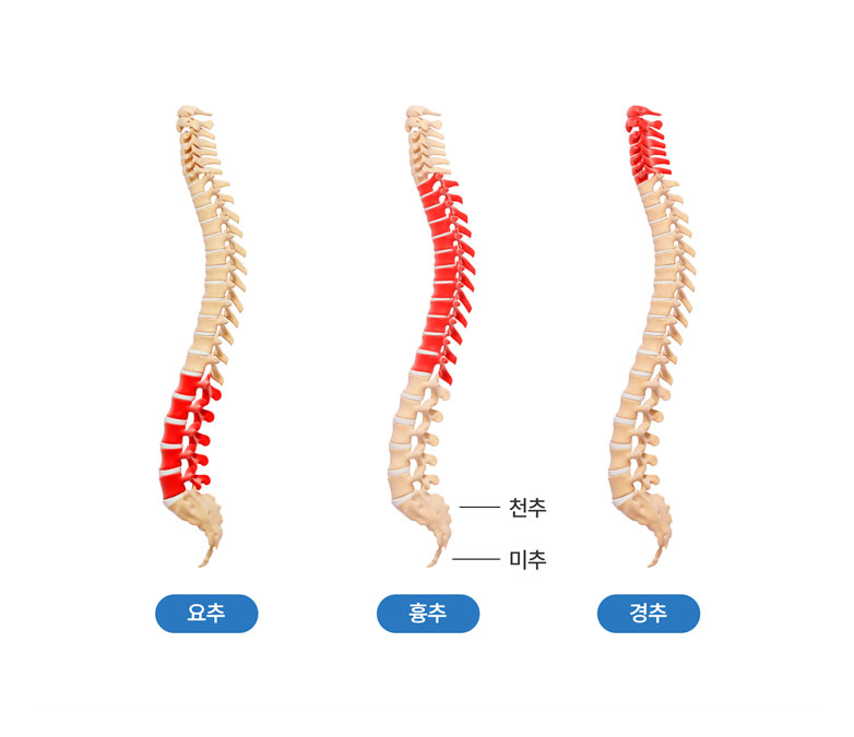 활기찬신경외과