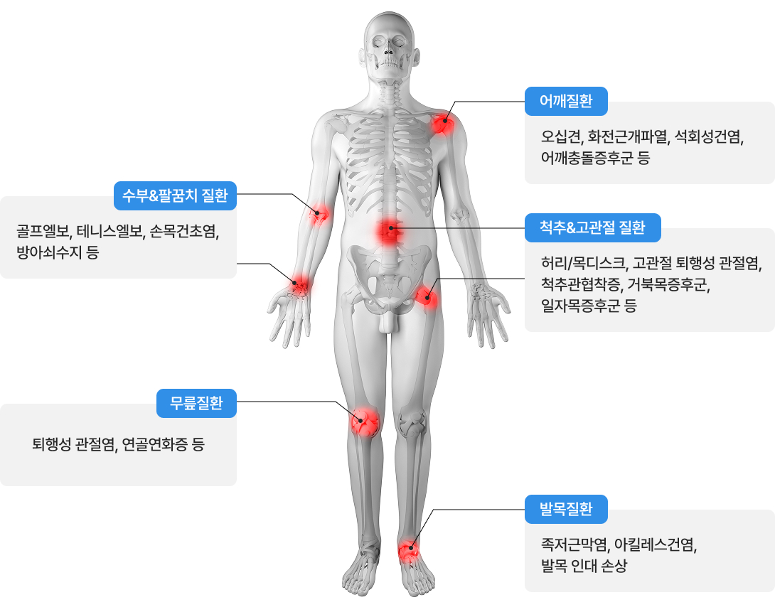 활기찬신경외과