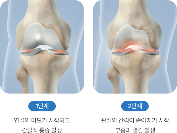 활기찬신경외과